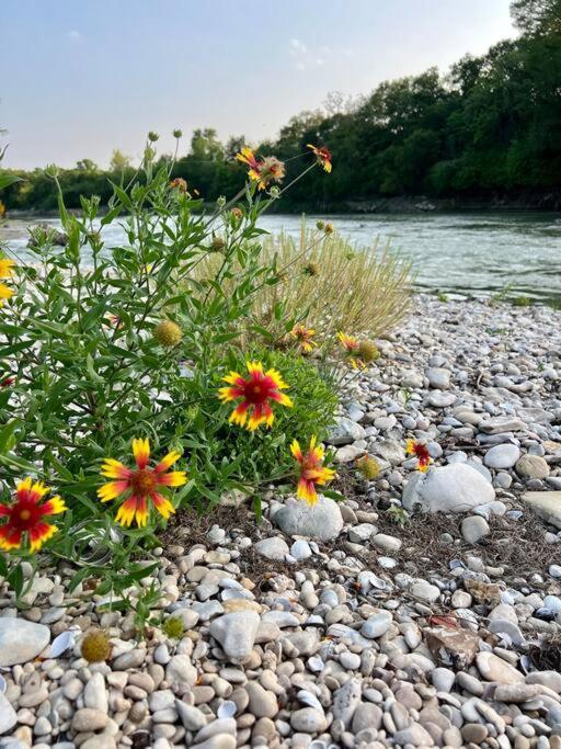 The River Haven - Sleeps 32 - On Guadalupe River Seguin Exterior foto